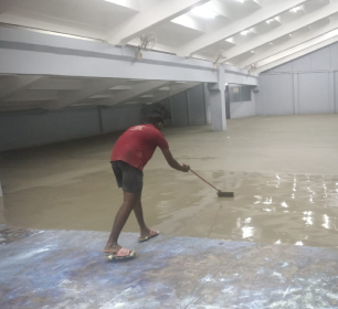 Self-Leveling (Emendus)